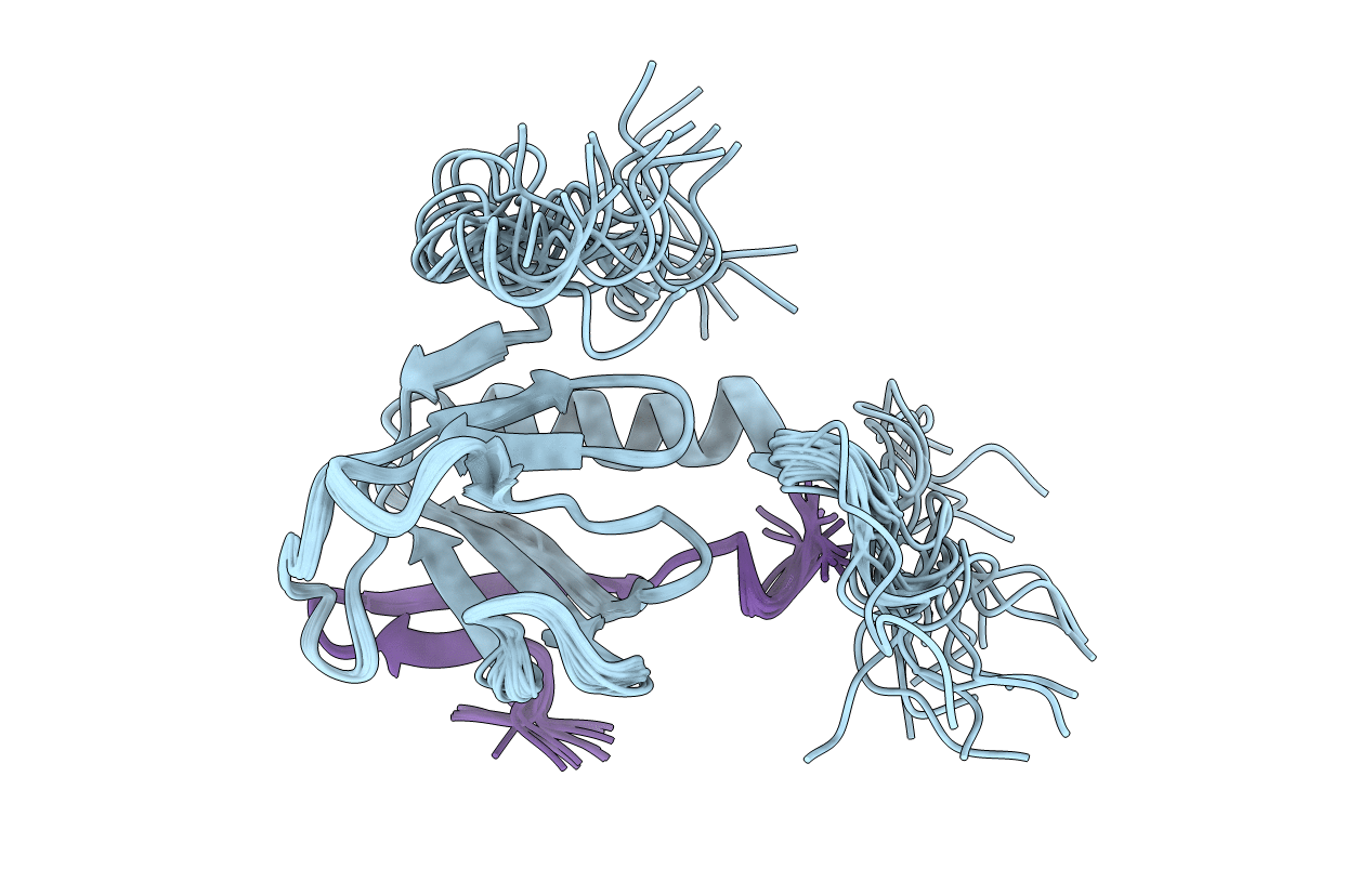 2MFQ image