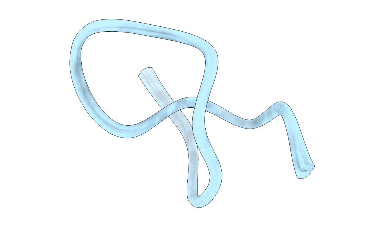 2MFV image