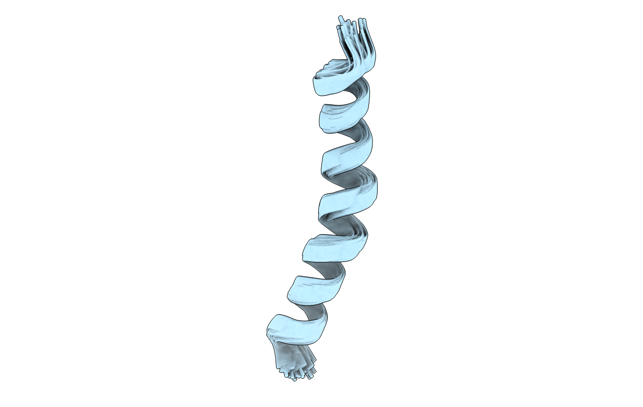 2MG1 image