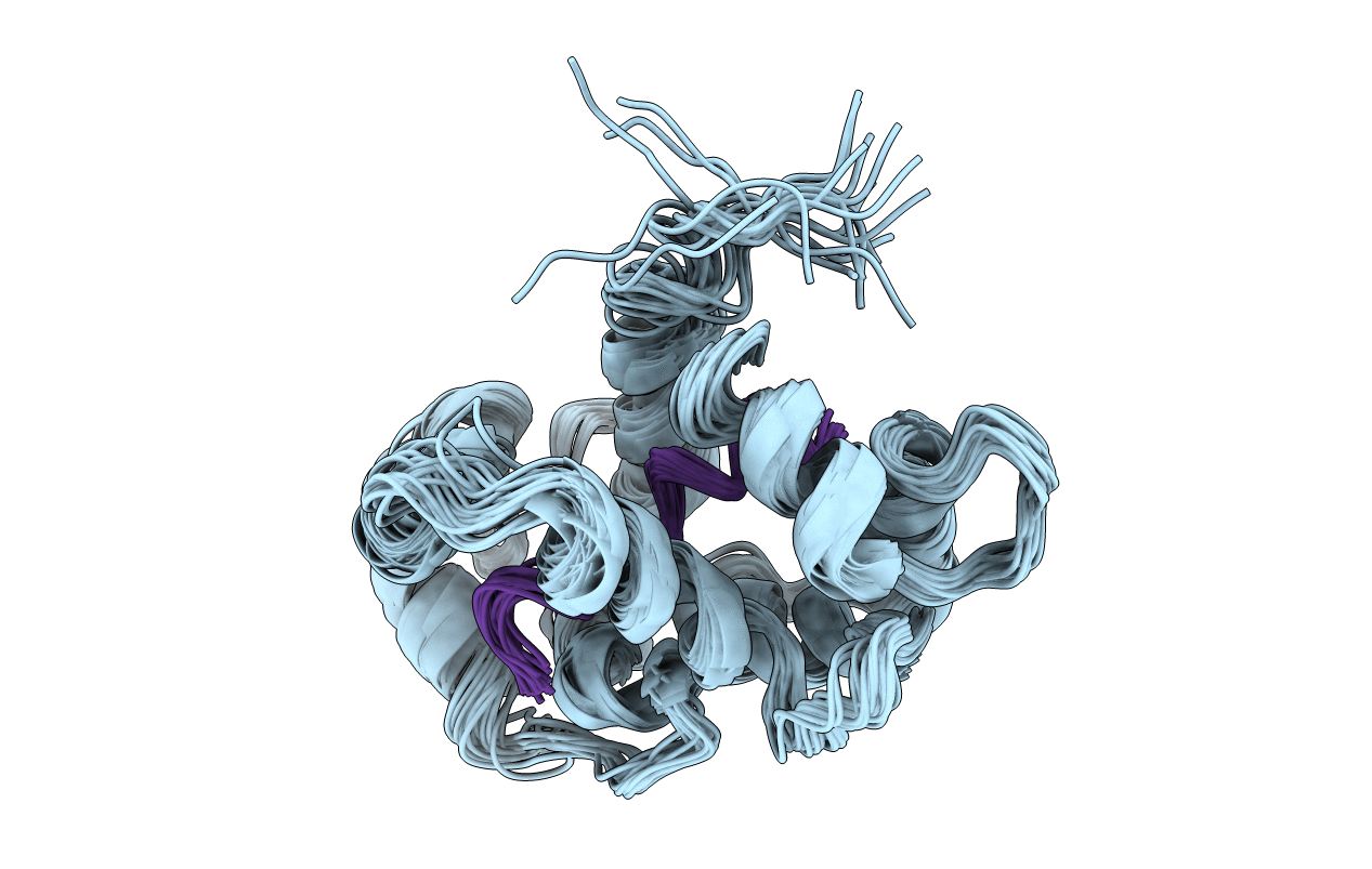 2MG5 image