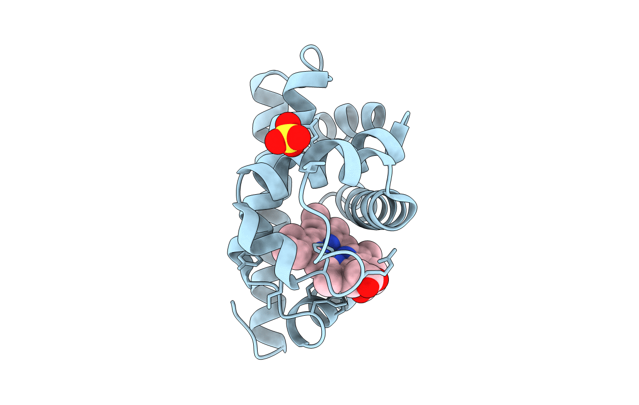 2MGI image