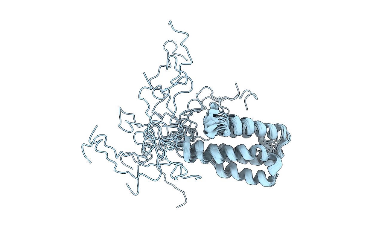 2MGX image