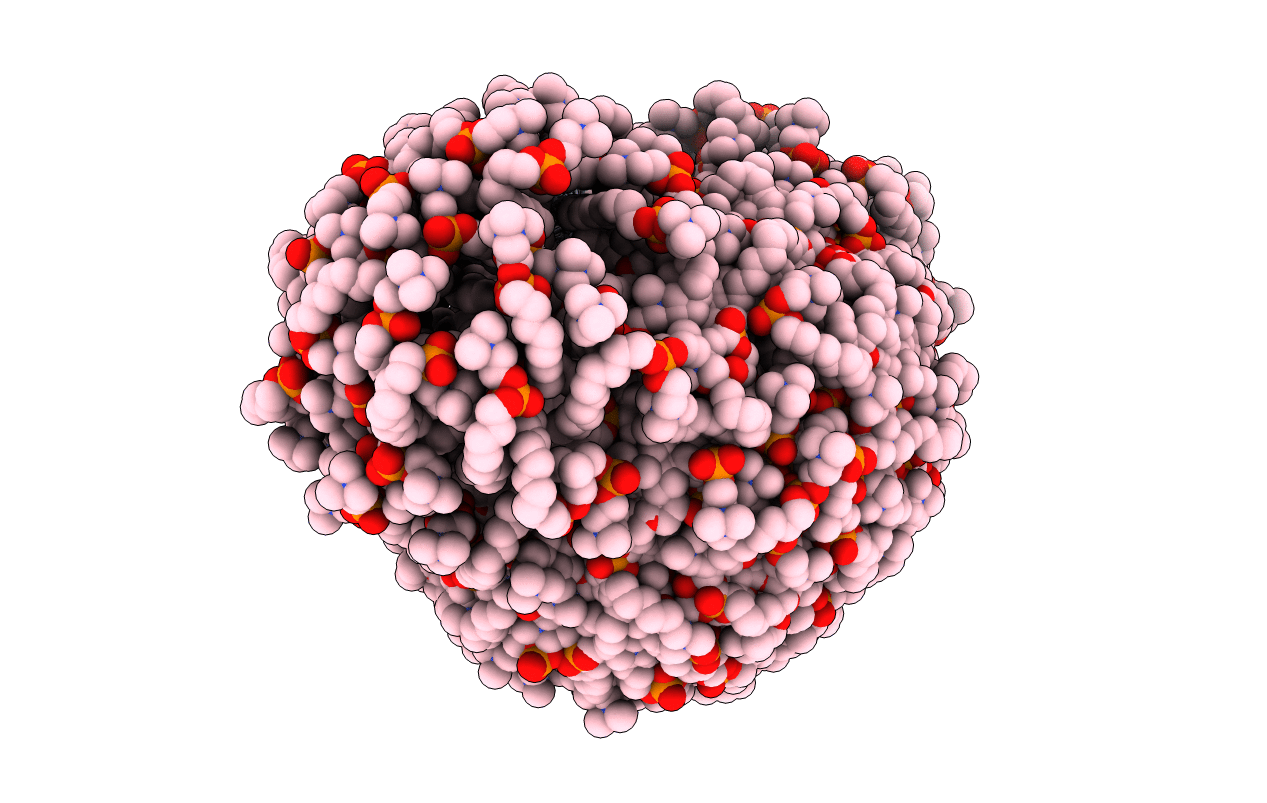 2MH5 image