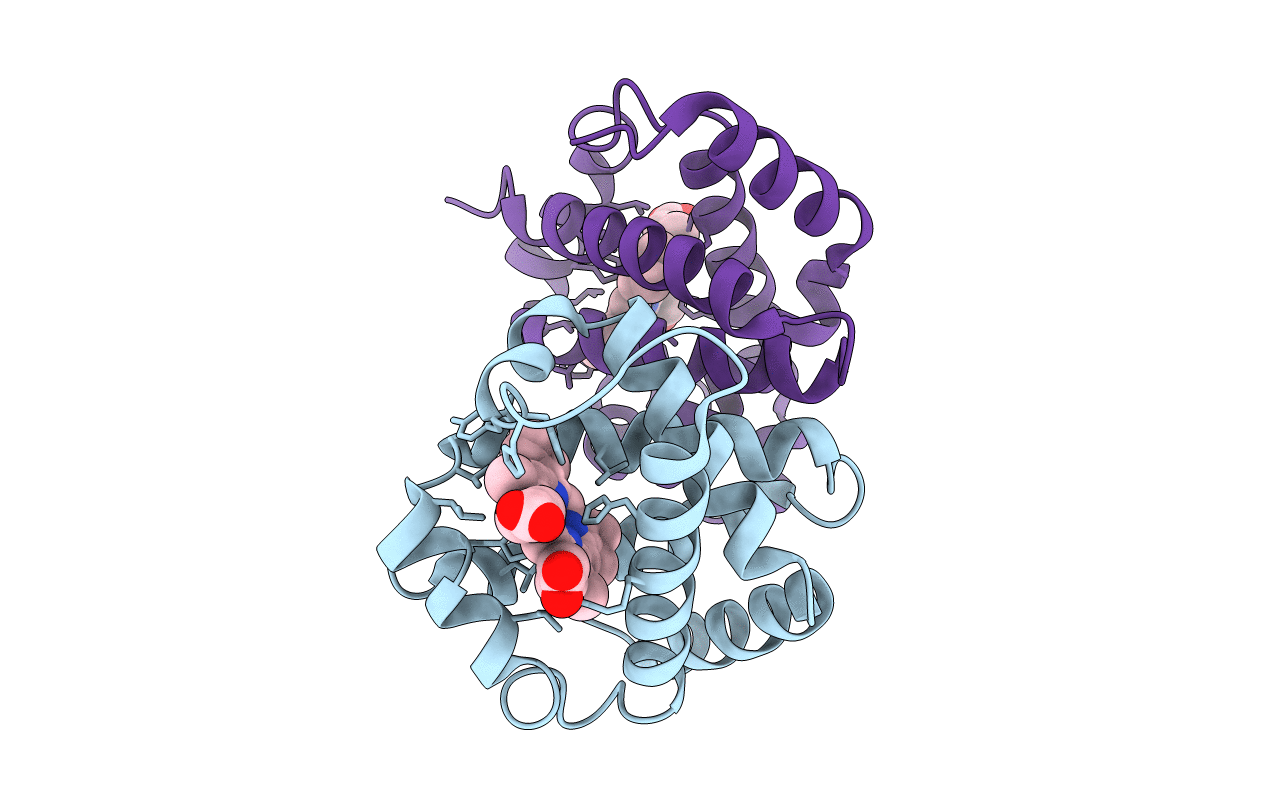 2MHB image