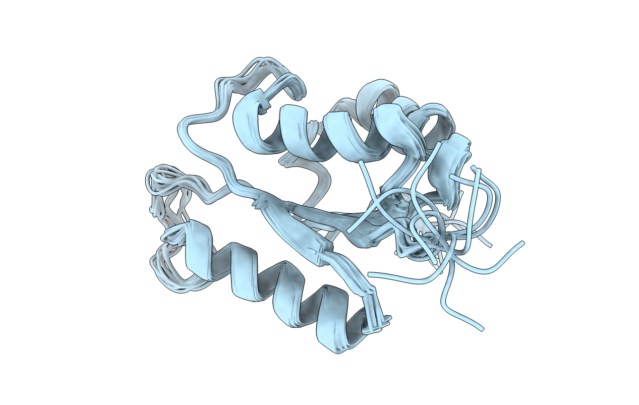 2MHC image