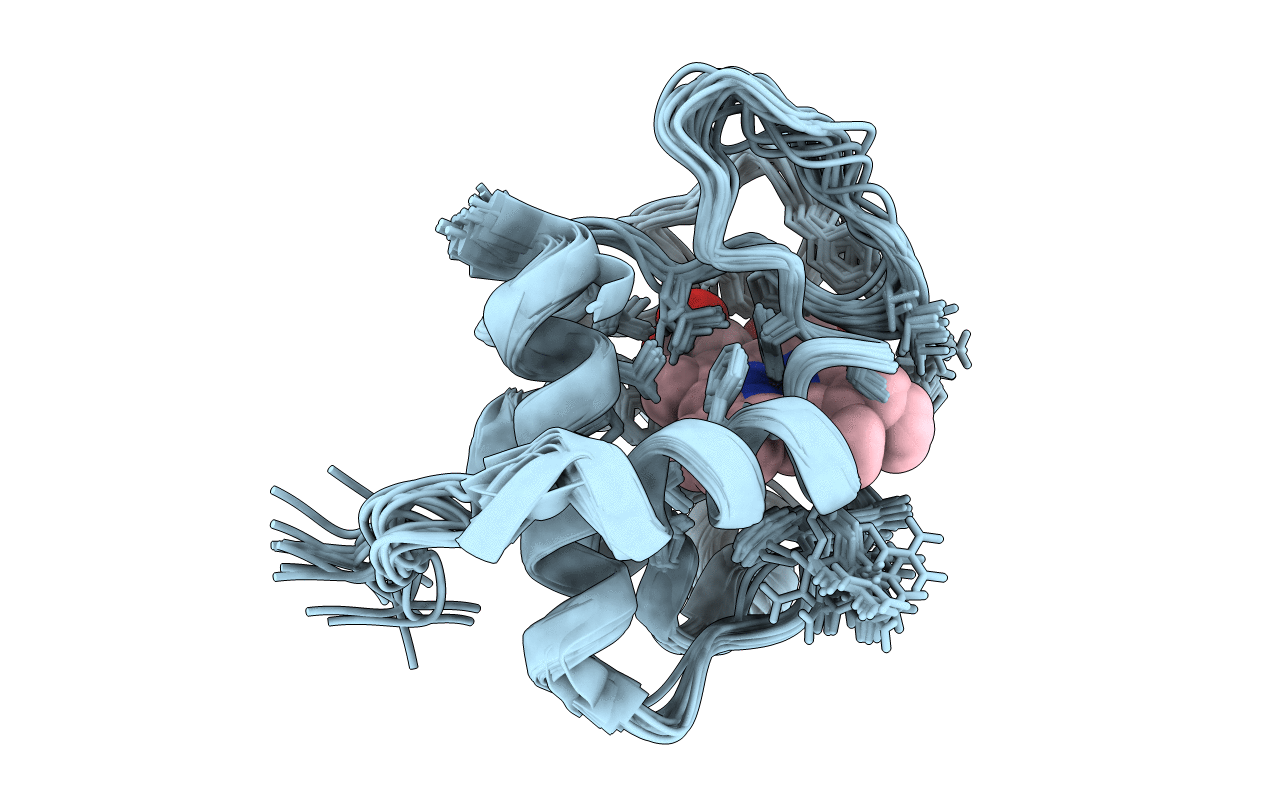 2MHM image