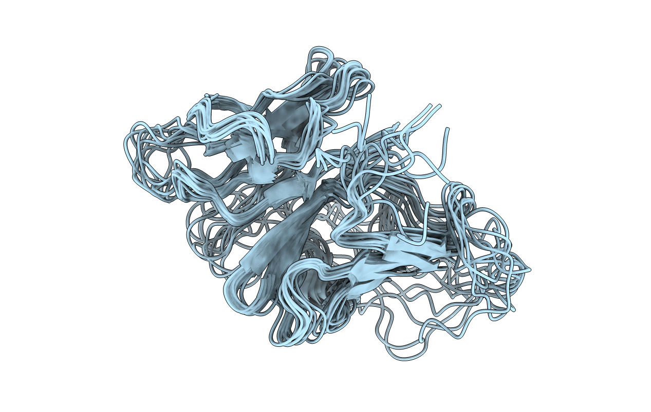2MIM image