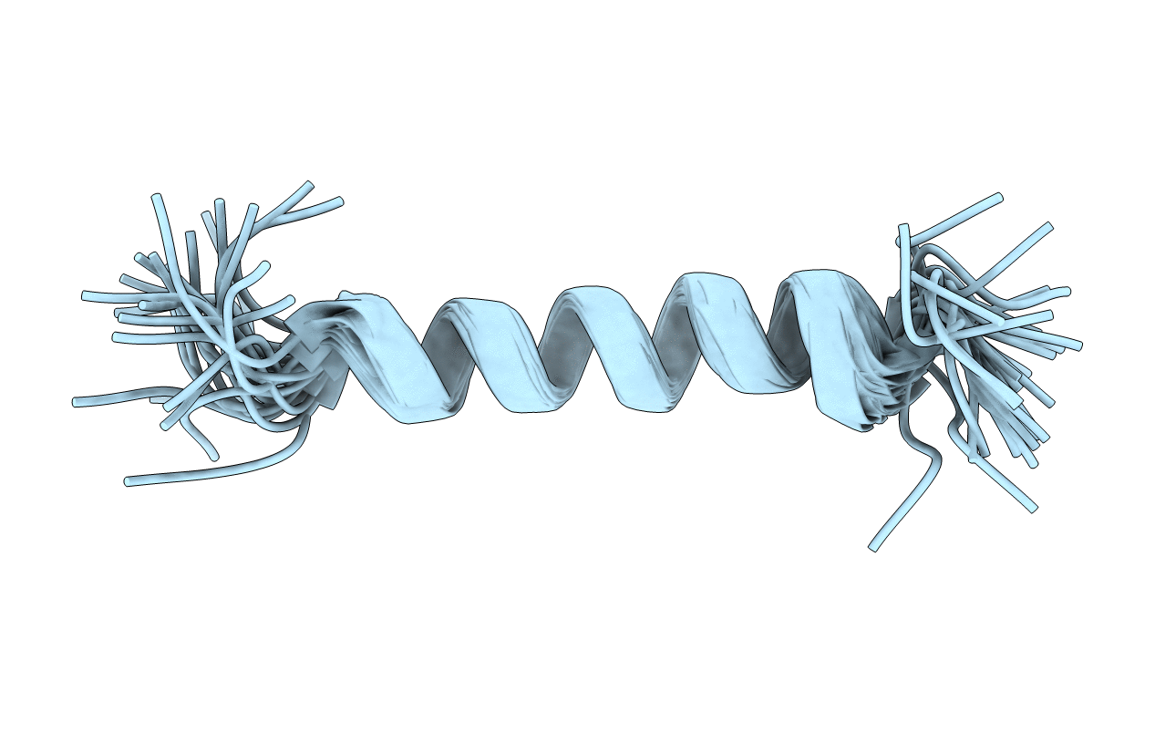2MKB image