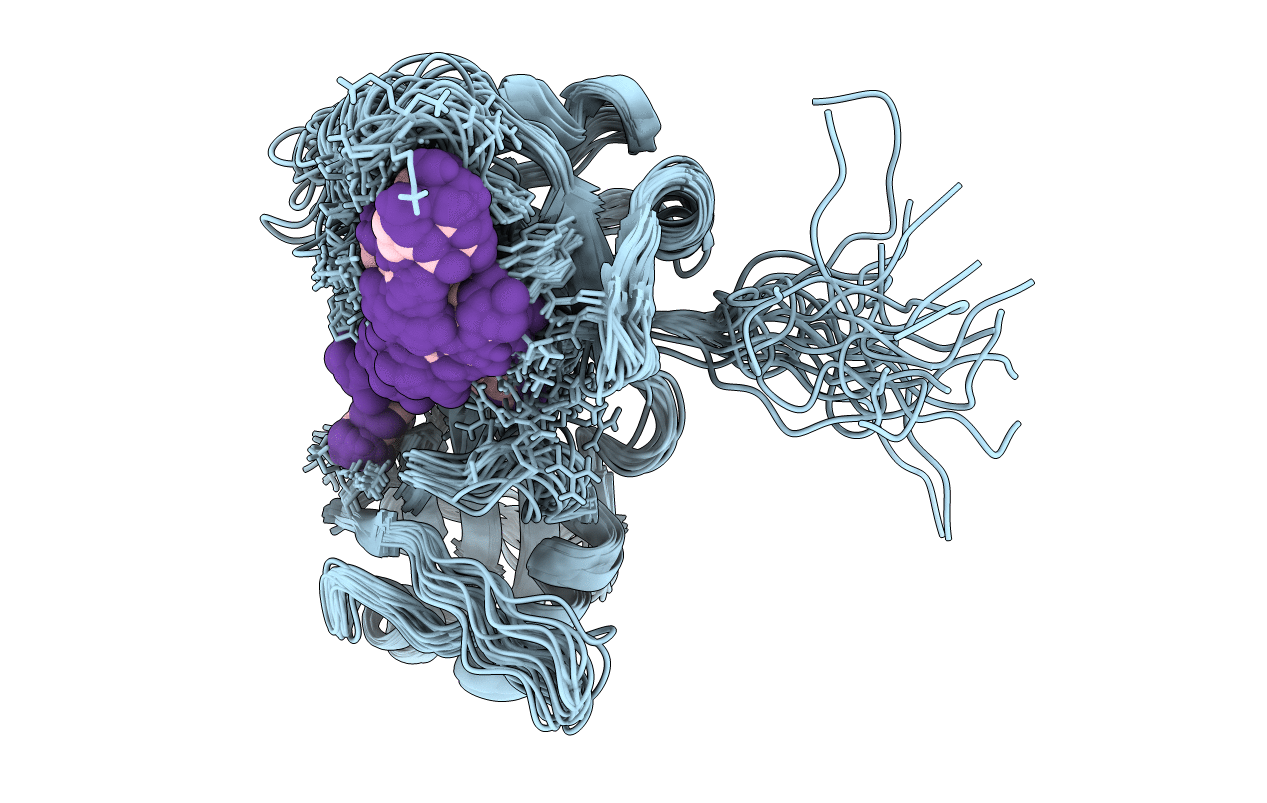 2MKI image