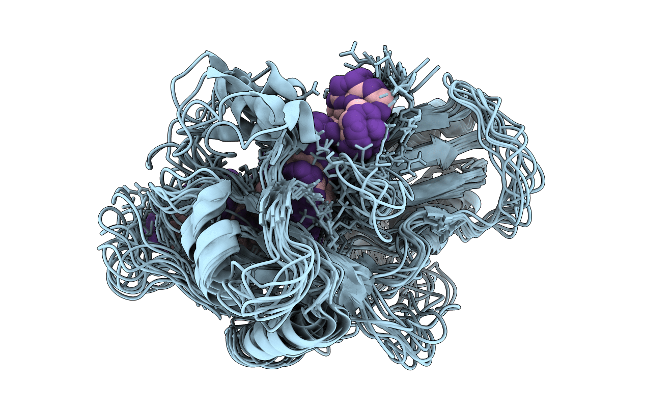 2MKK image