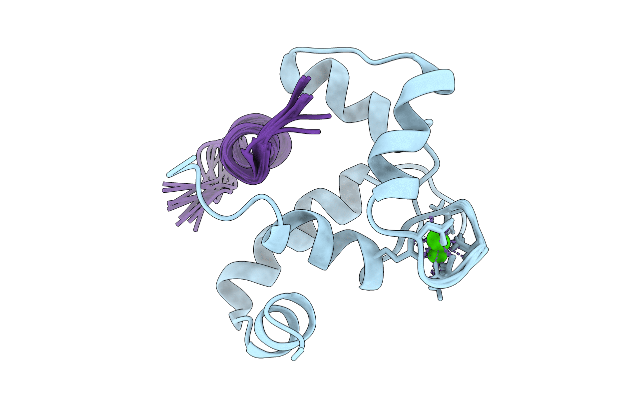 2MKP image