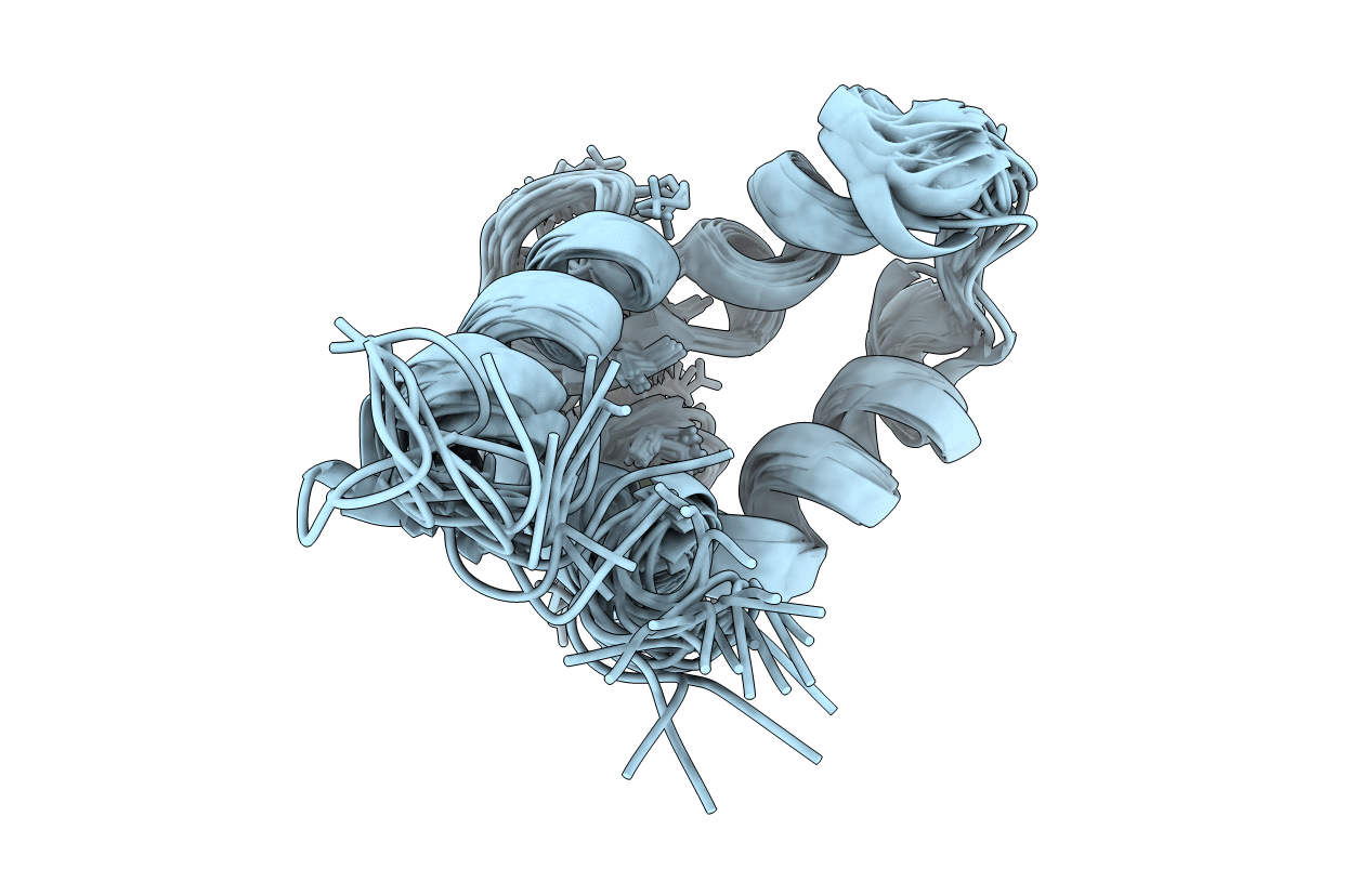 2mlf image
