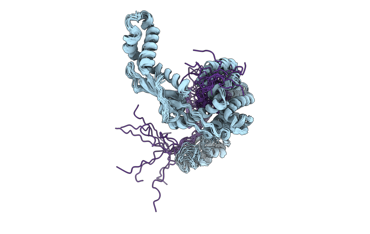 2MLX image