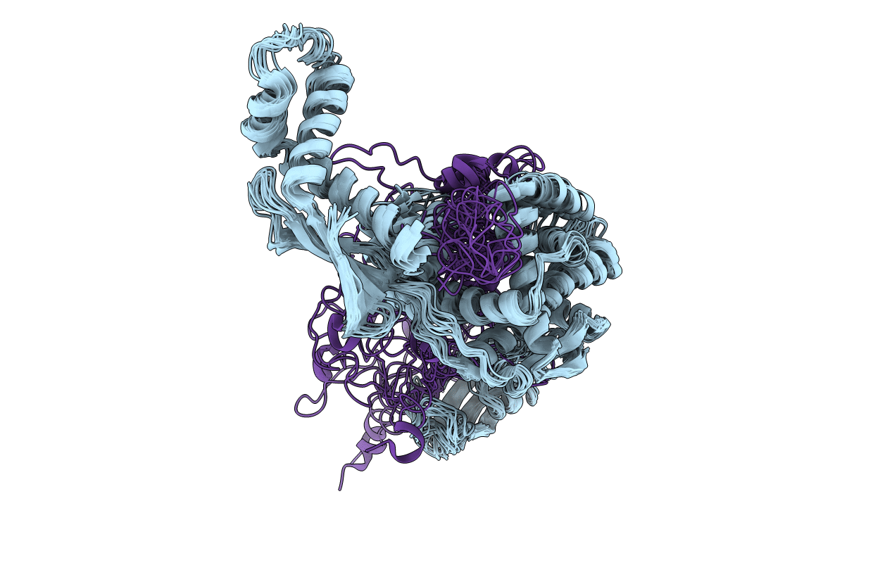 2mlz image