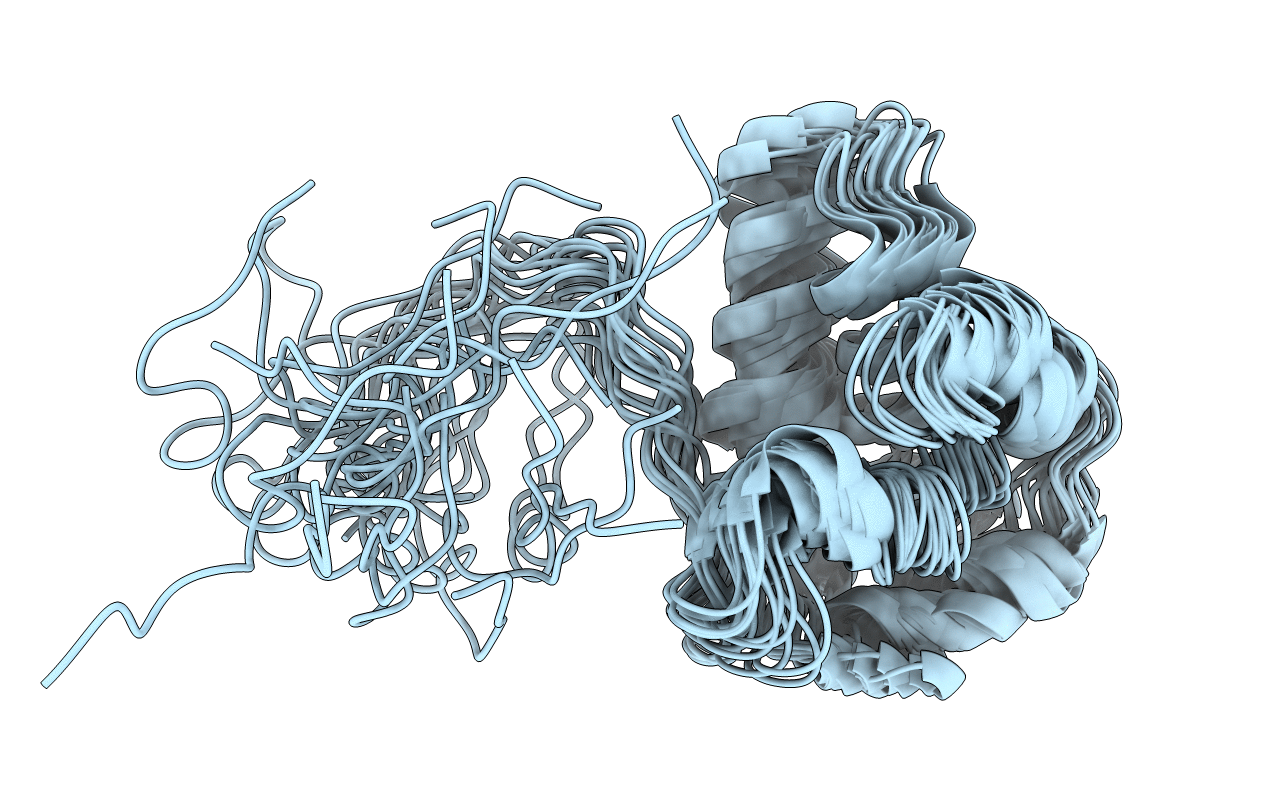 2MMB image