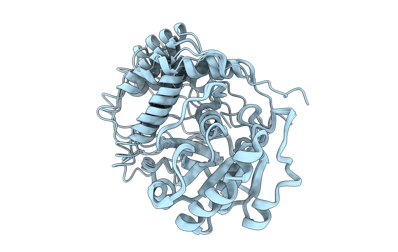 2MMG image