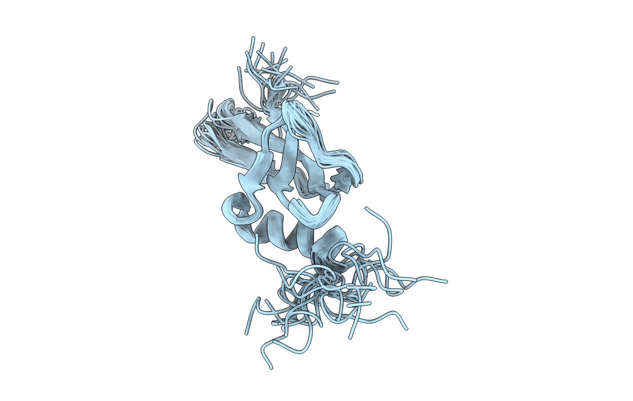 2MMP image