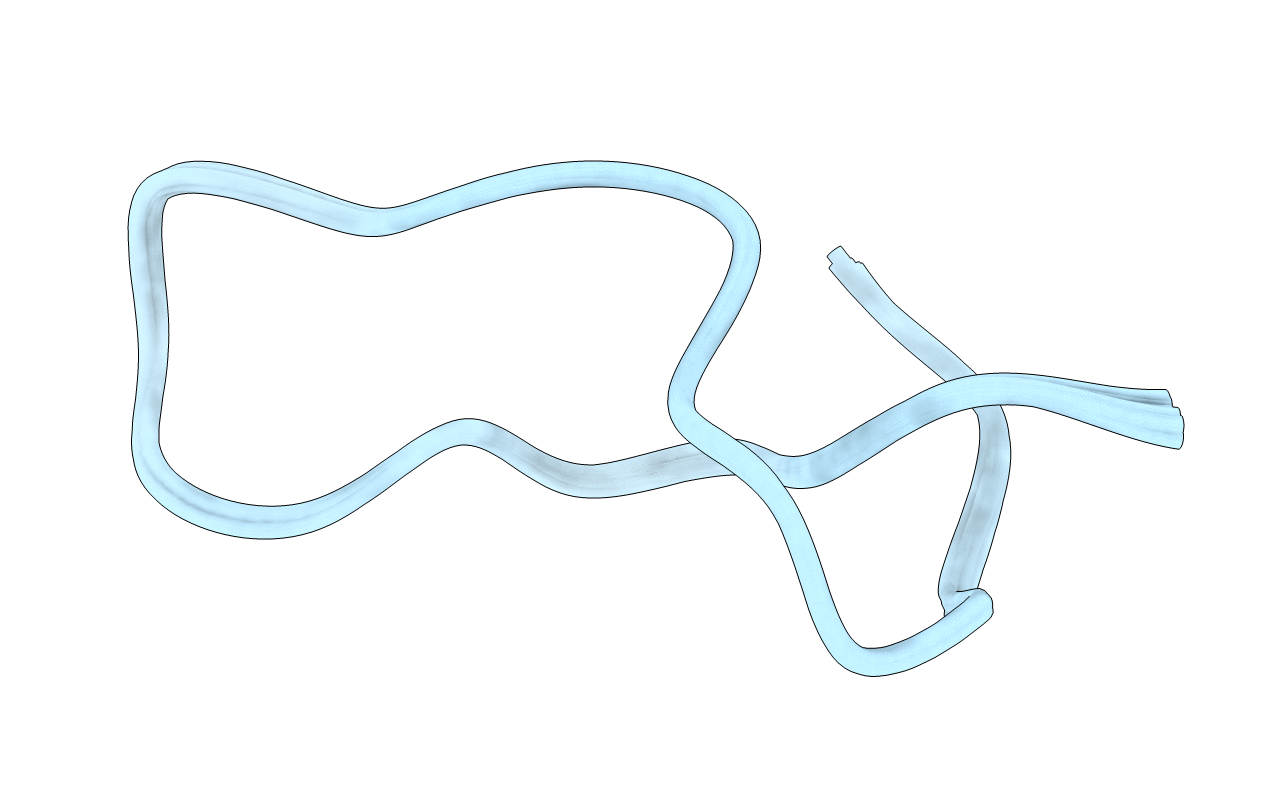2MMT image