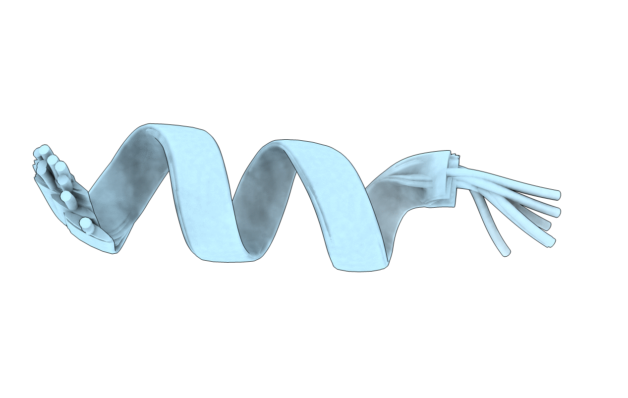 2MP9 image