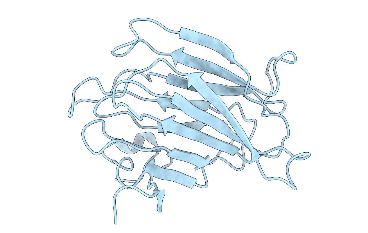 2MPO image