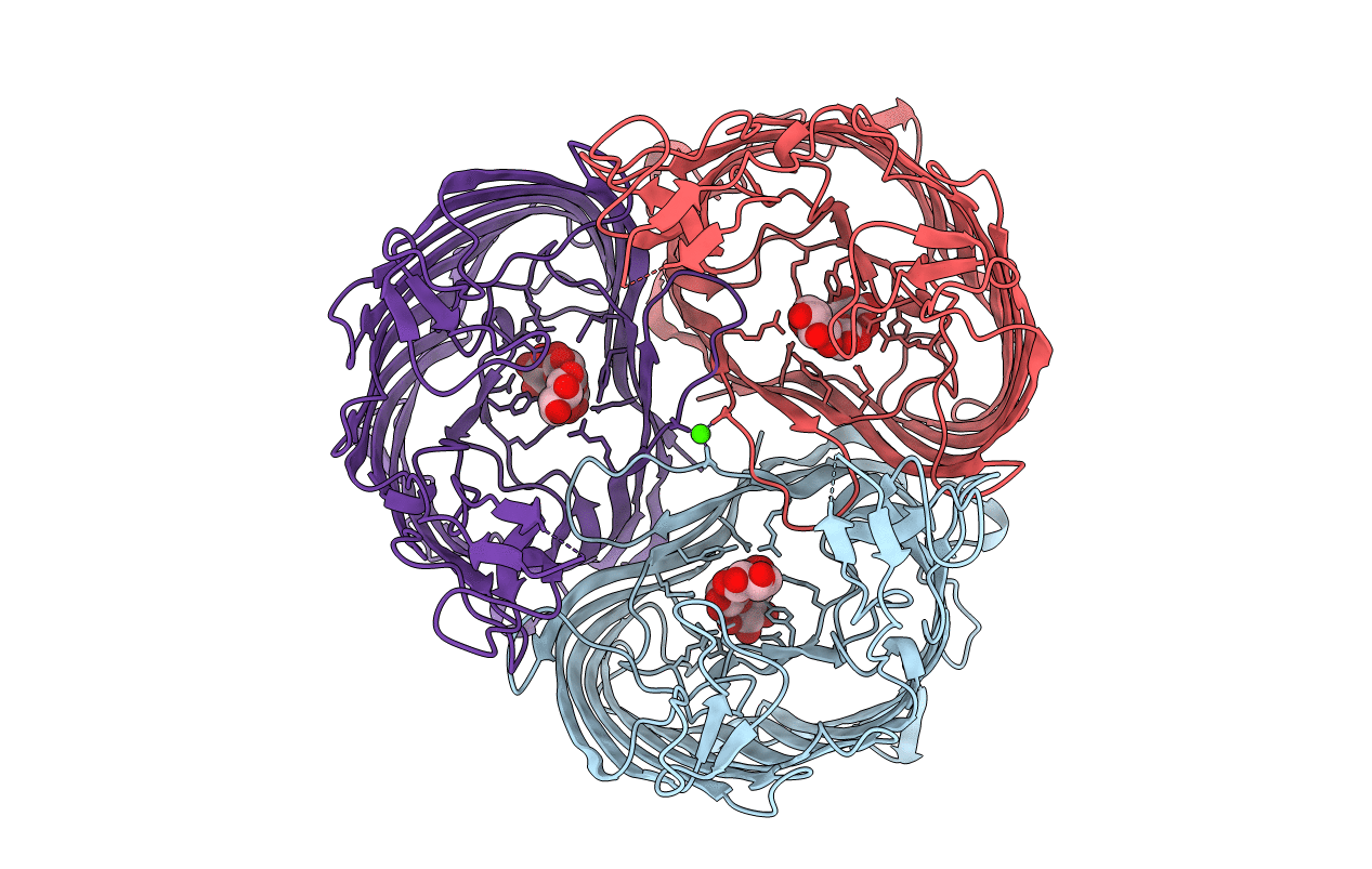 2MPR image