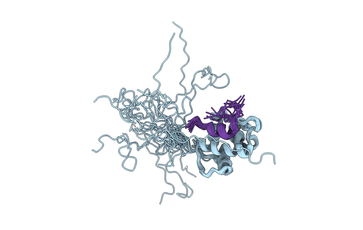 2MPS image