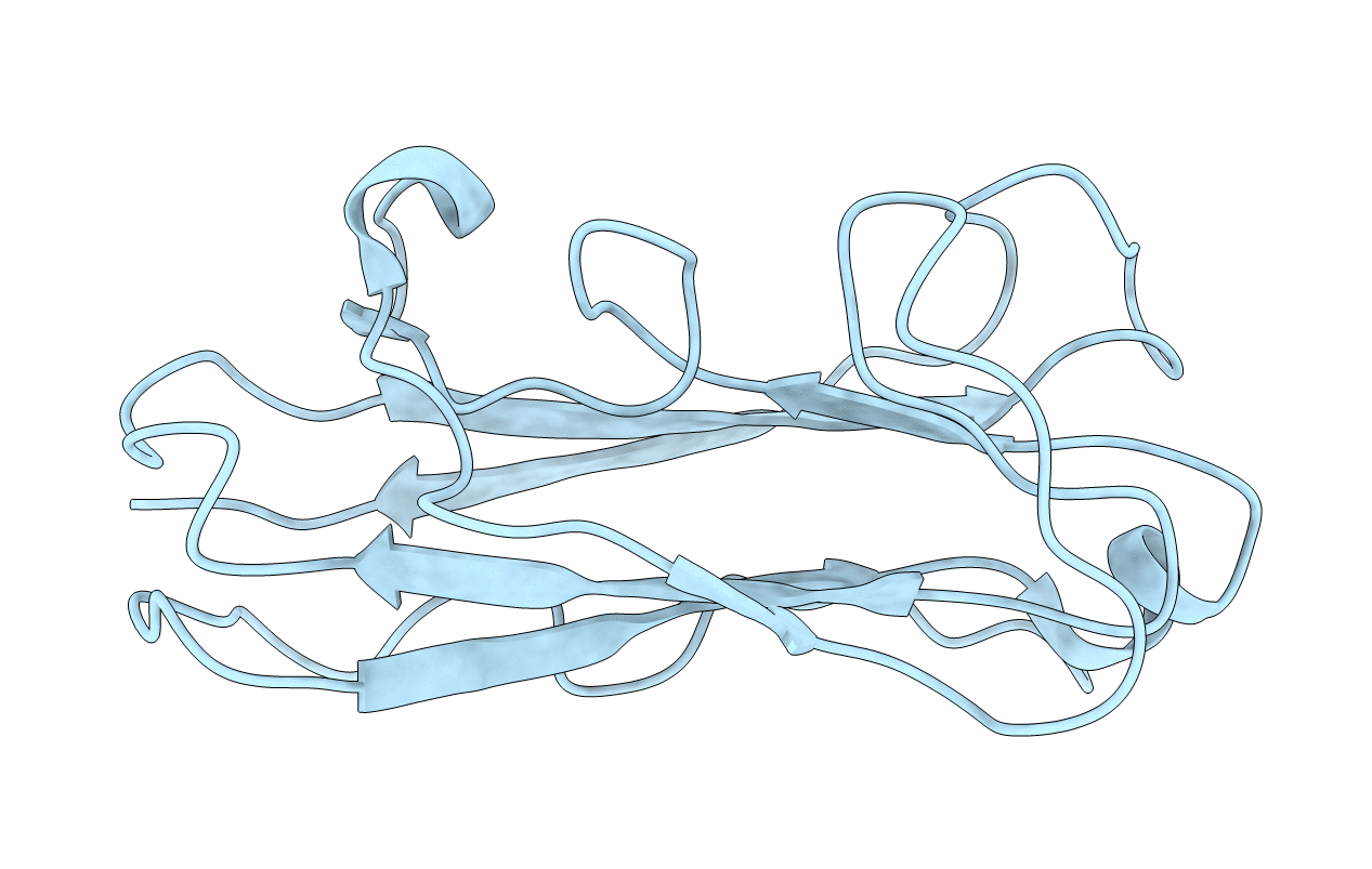 2MPV image