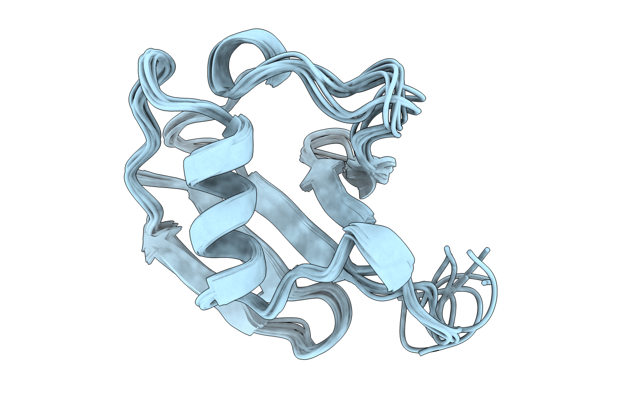 2MRP image