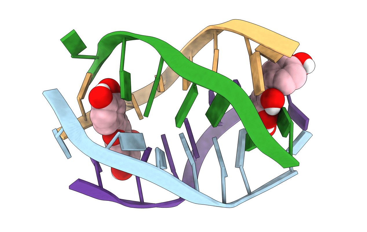 2MS6 image