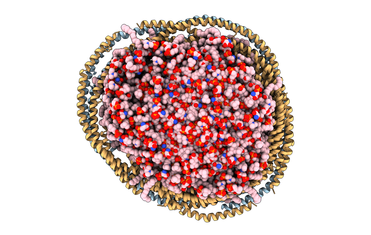 2MSE image