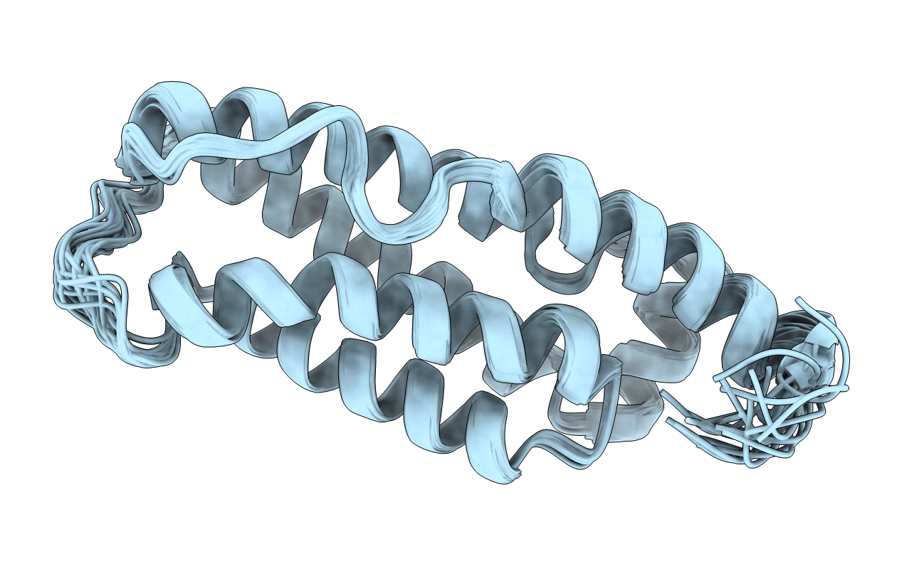 2MSV image