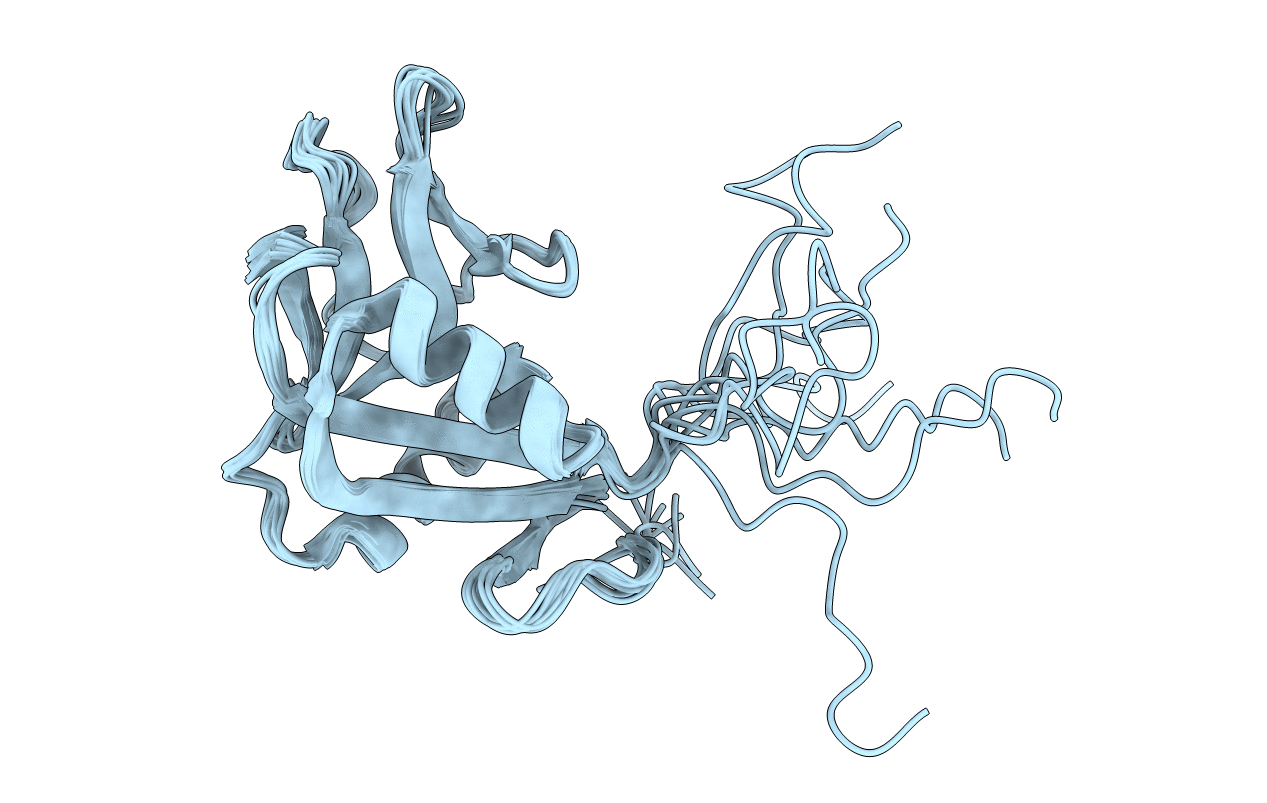 2MTI image