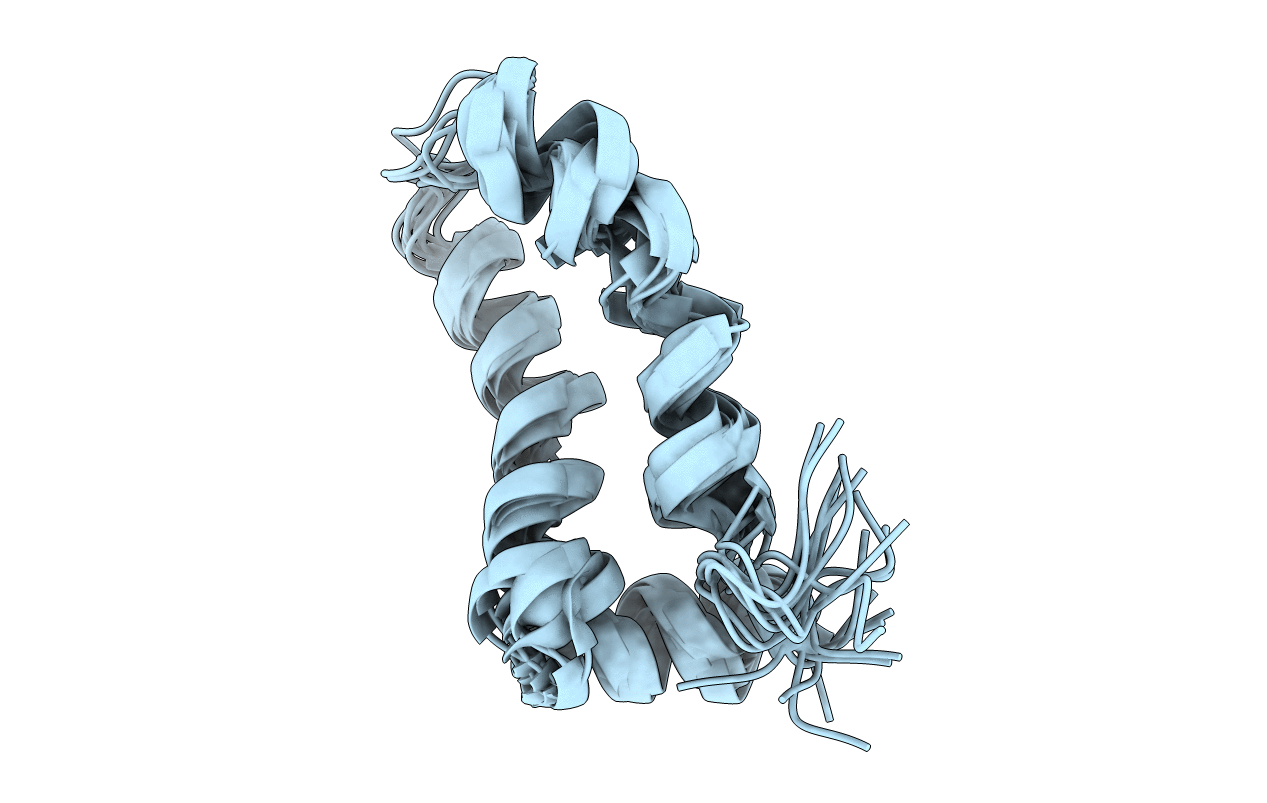 2MTS image