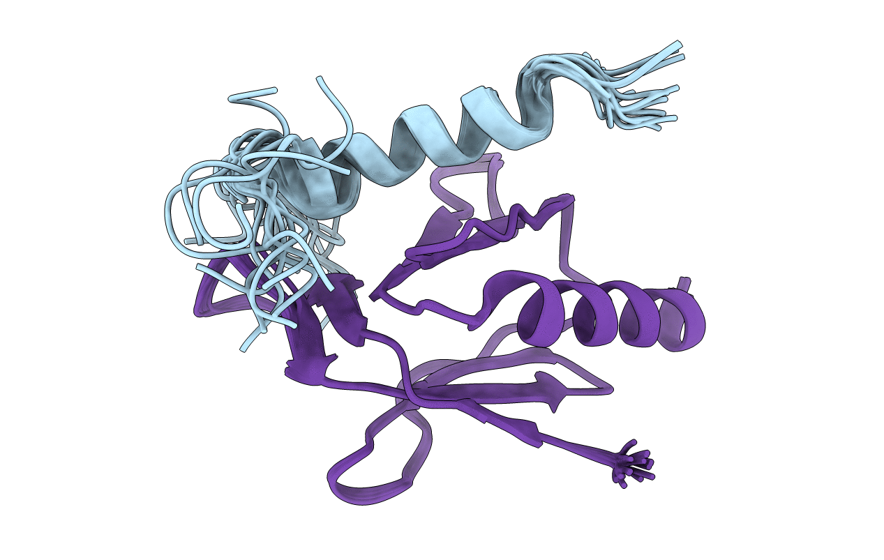 2MWN image