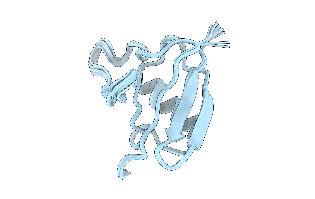2MX2 image