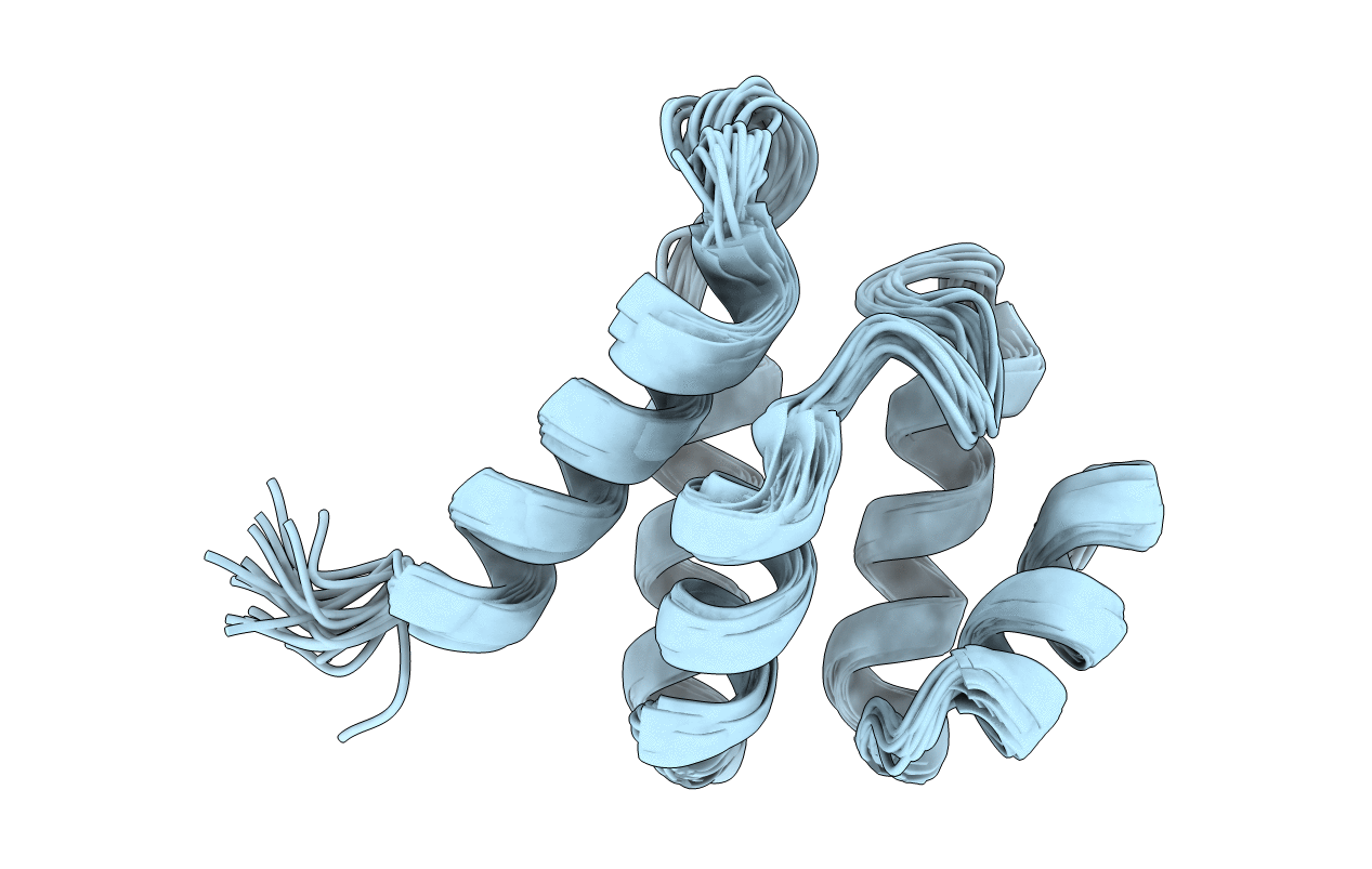2MXT image