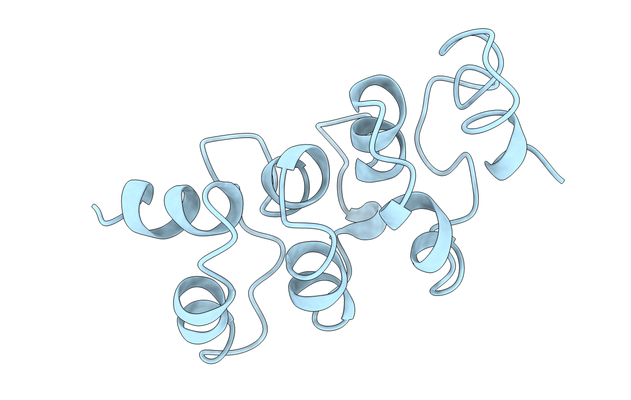 2MYO image