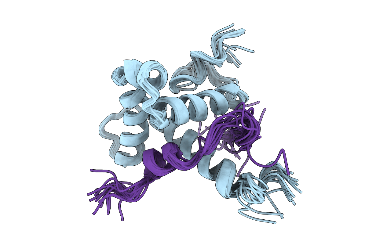 2MZD image