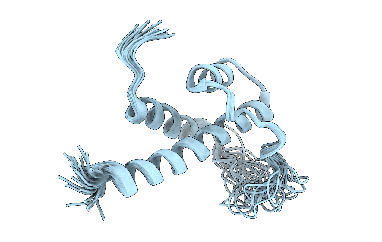 2N12 image