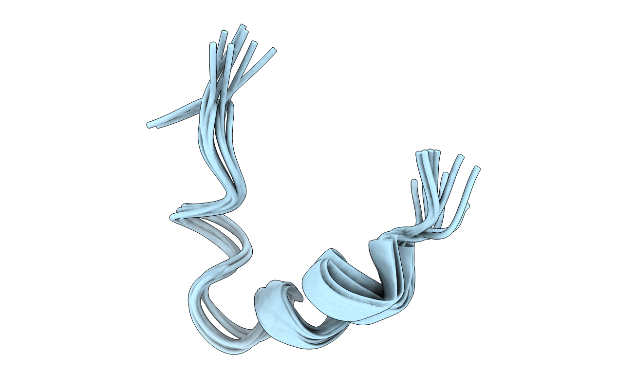2N16 image