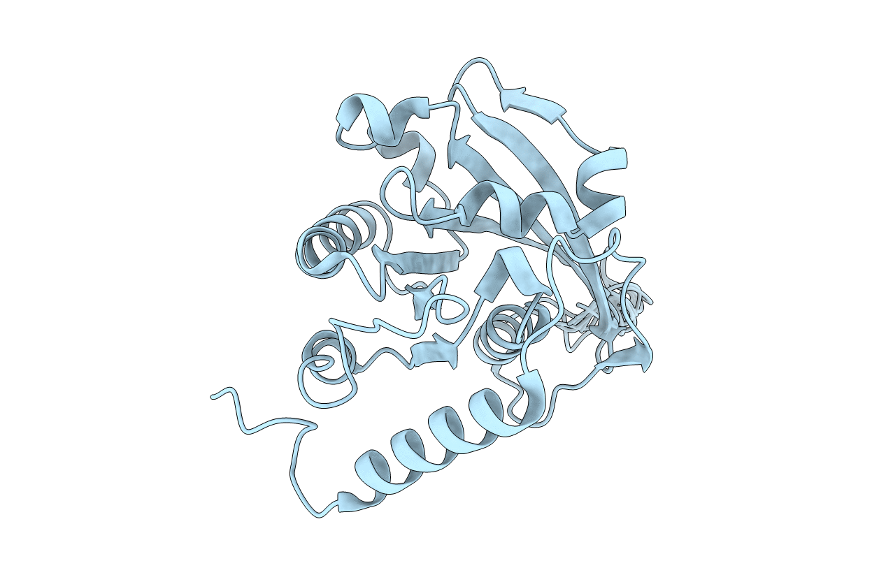 2N1B image