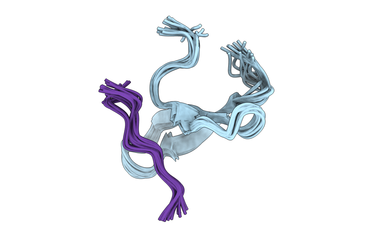 2N1O image