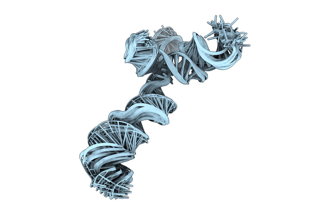 2N1Q image