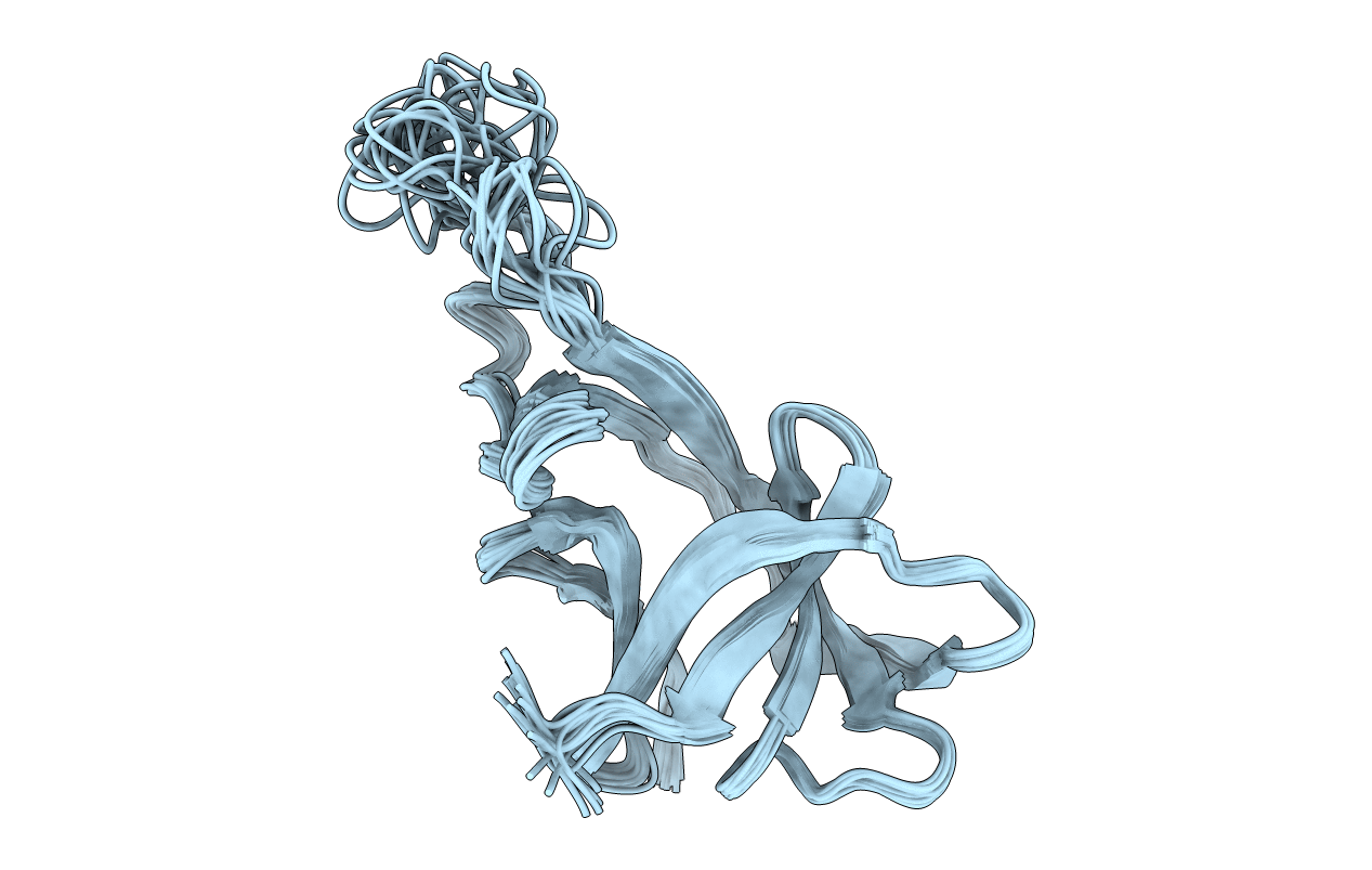 2N2E image