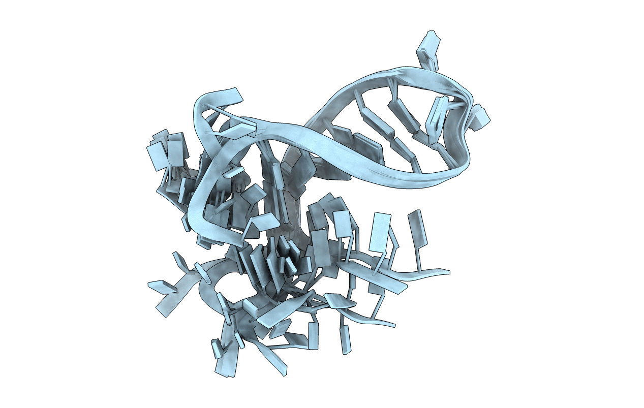 2N2P image