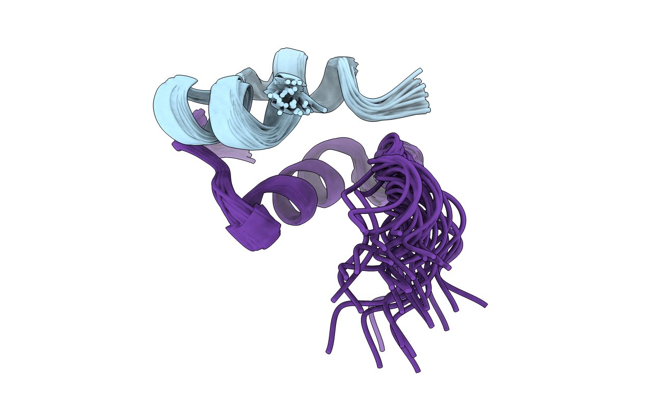 2N2V image