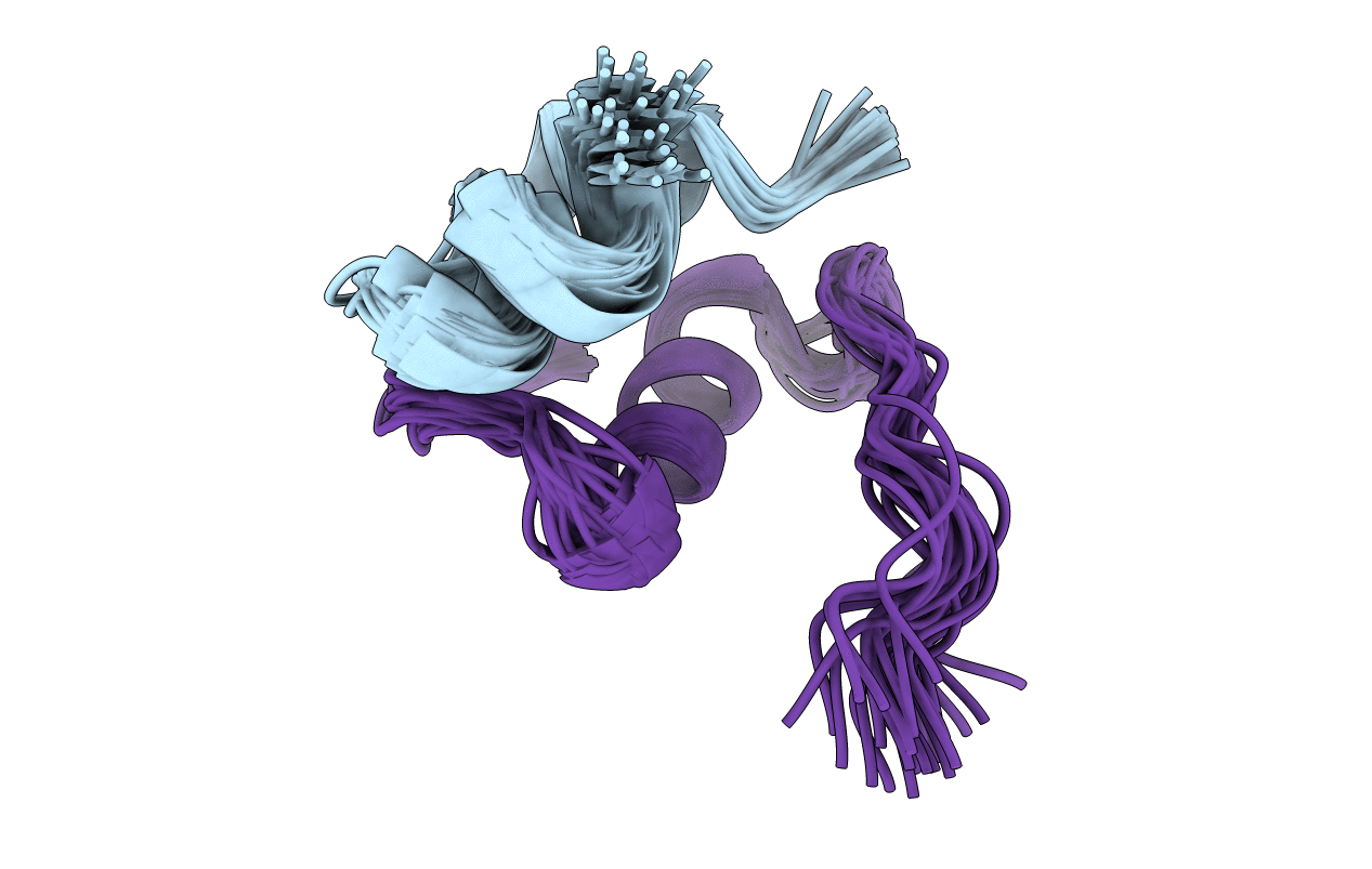 2N2w image