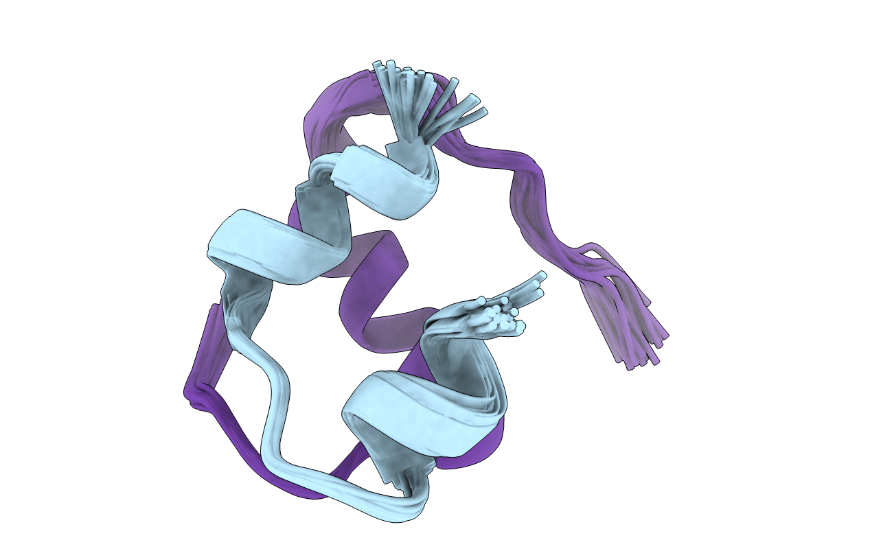 2N2X image