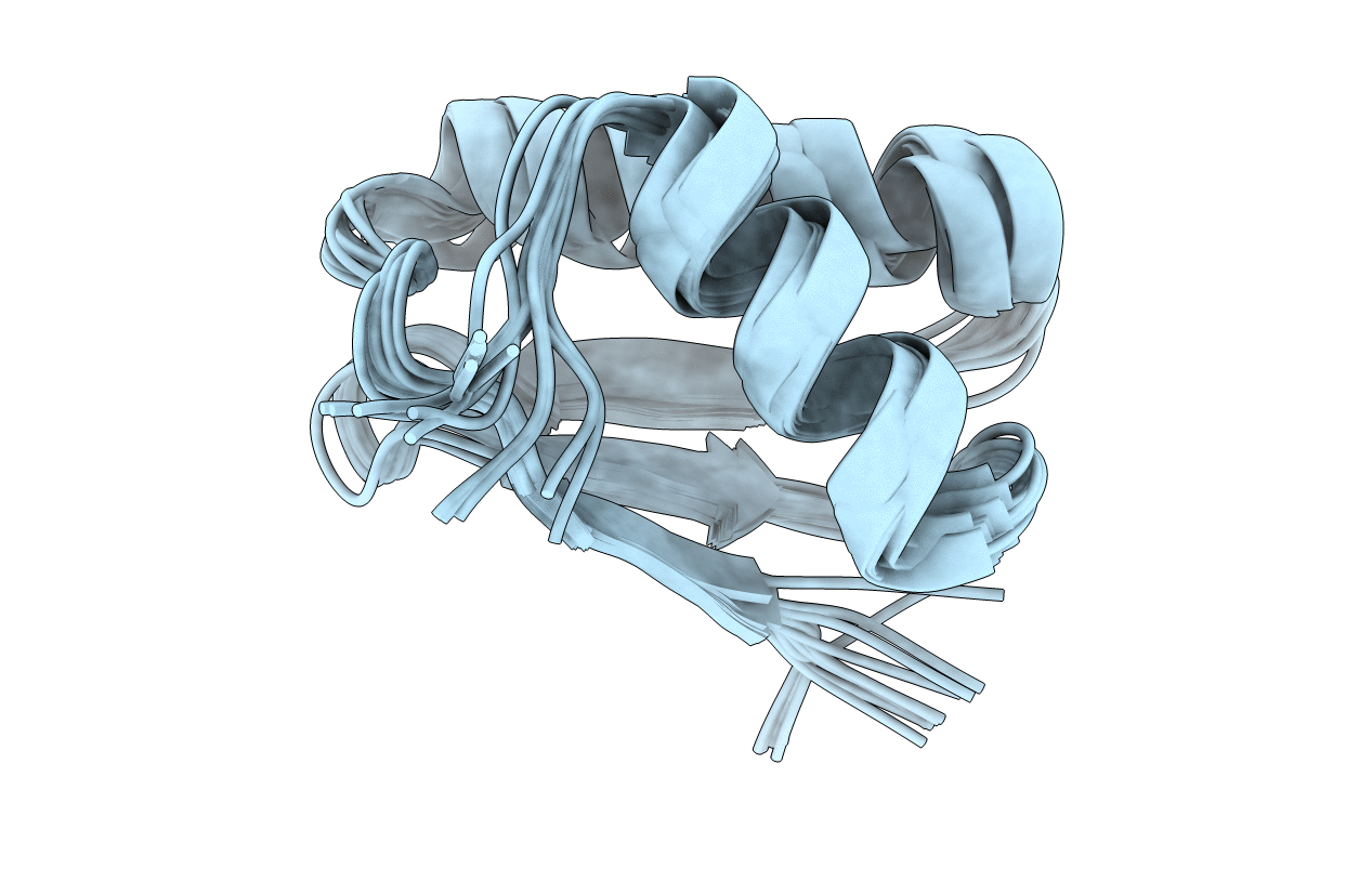 2N4C image