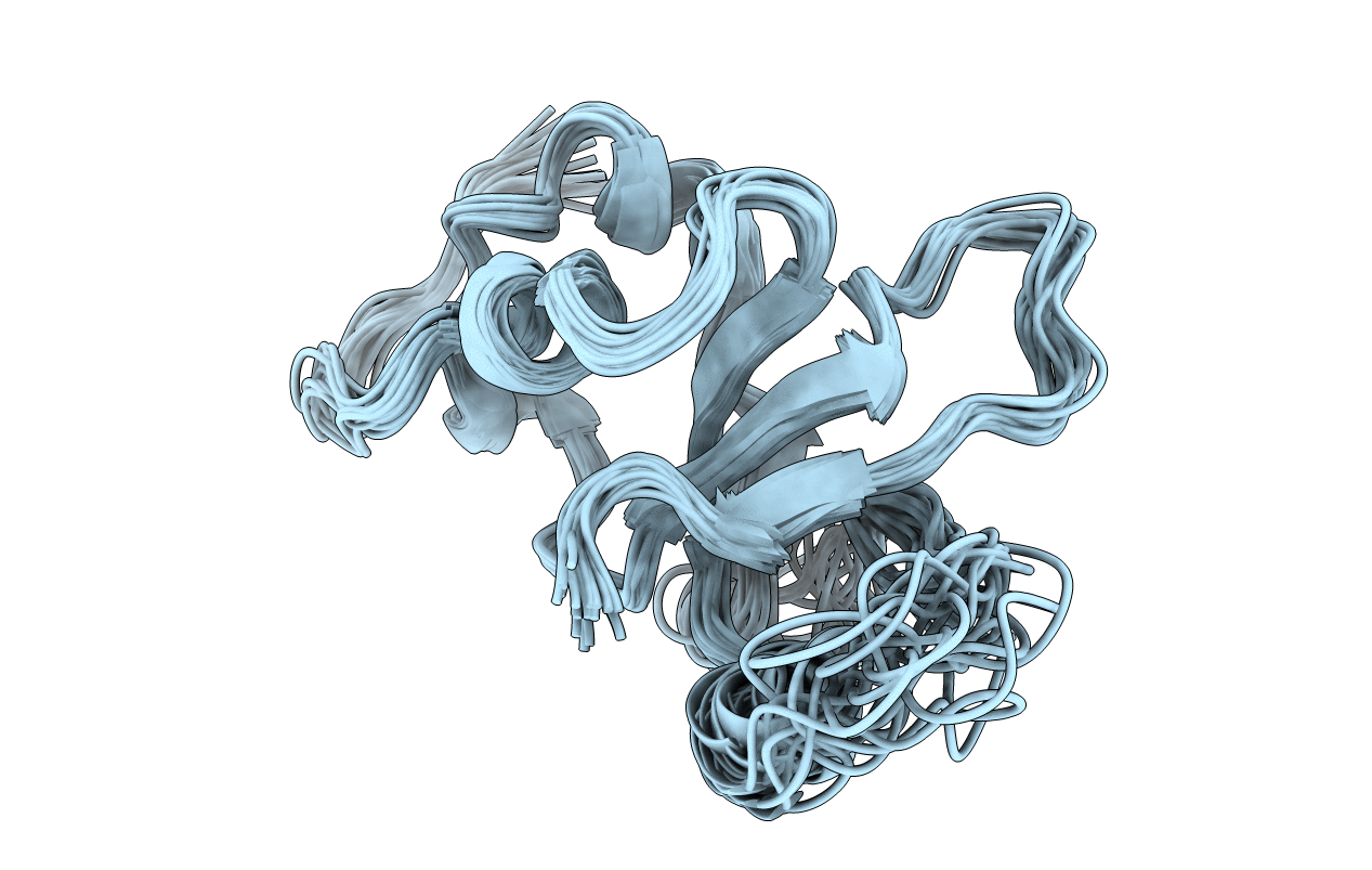 2N4O image